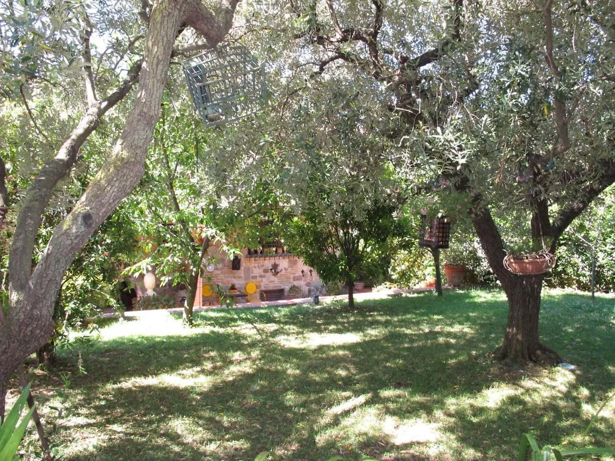 Villa Capo Corso By Interhome Corsanico-Bargecchia Italien